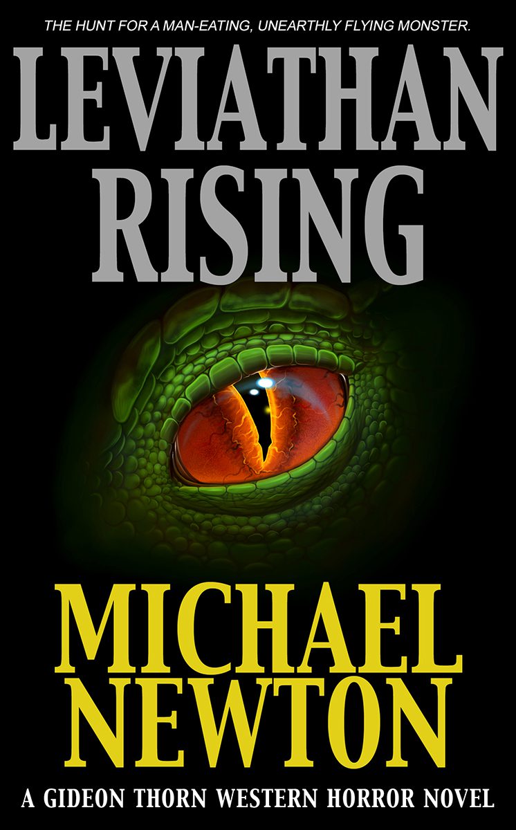 Leviathan Rising (Gideon Thorn 2) by Michael Newton